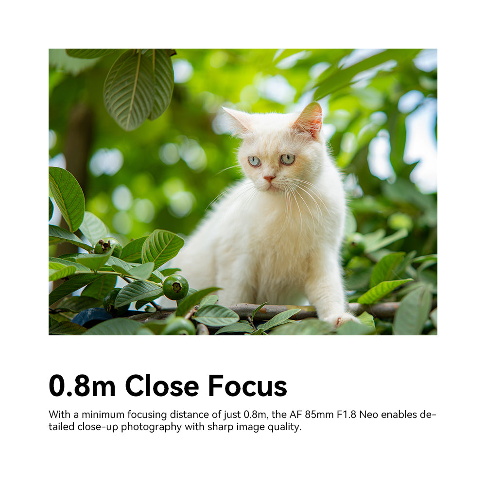 TTArtisan AF 85mm F1.8 Neo