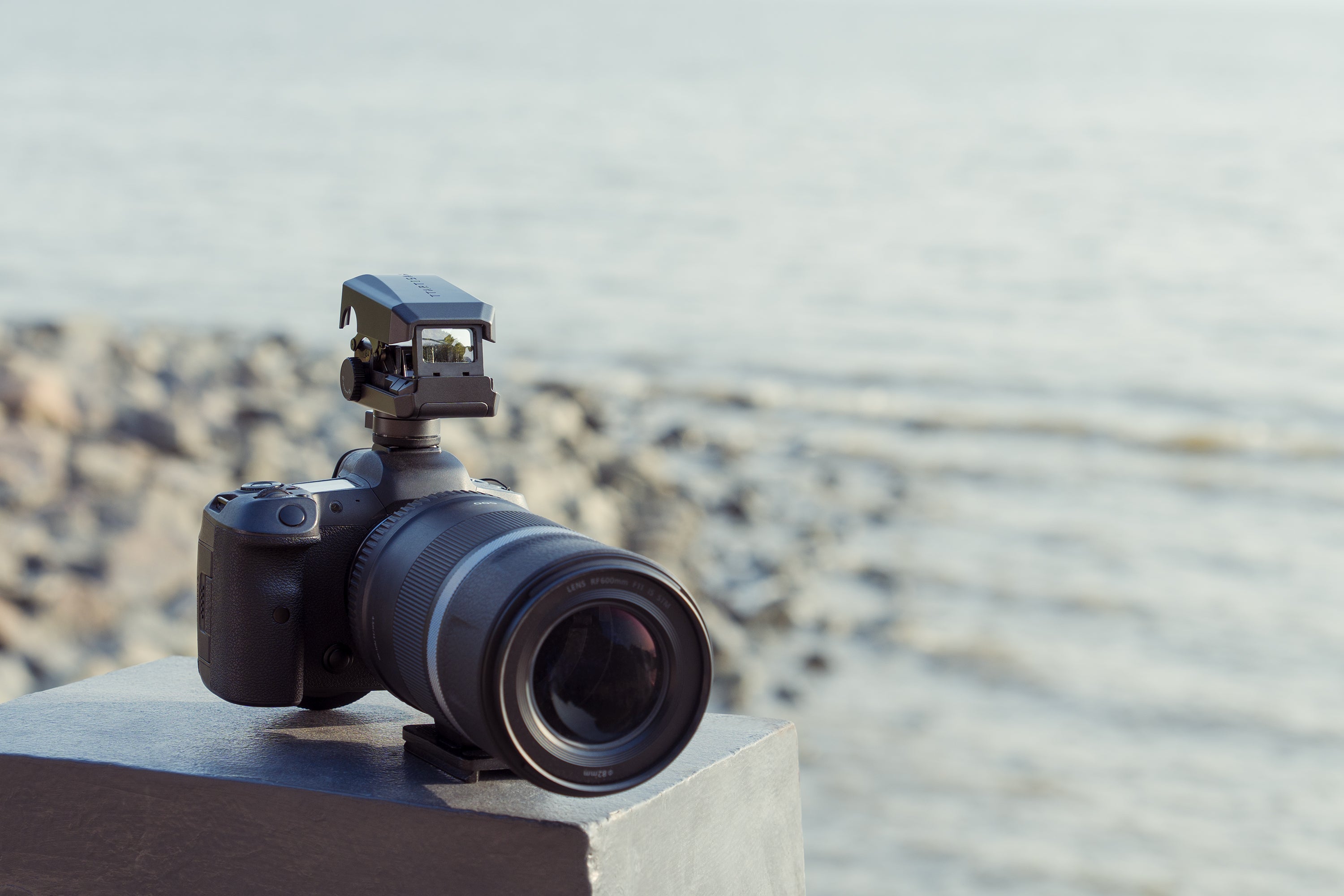 Wildlife Photography Canon M50 Kit Lens Portrait Lens Canon M50